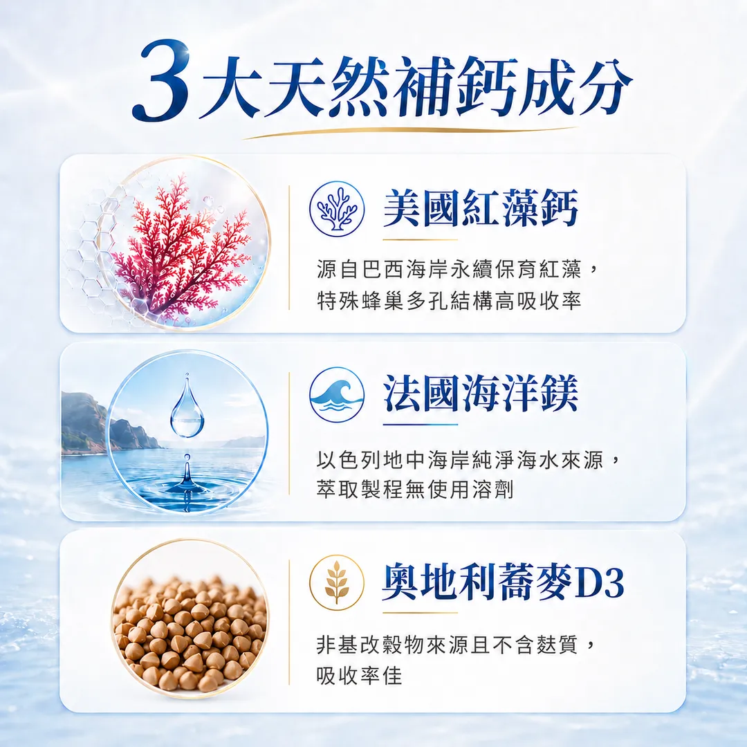 nxely 海藻鈣鎂膠囊 商品說明 3